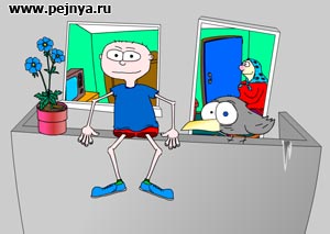 "флеш